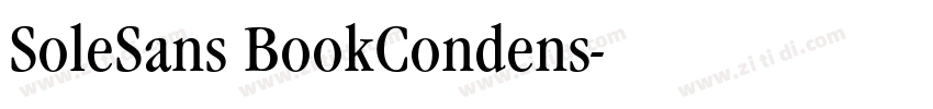 SoleSans BookCondens字体转换